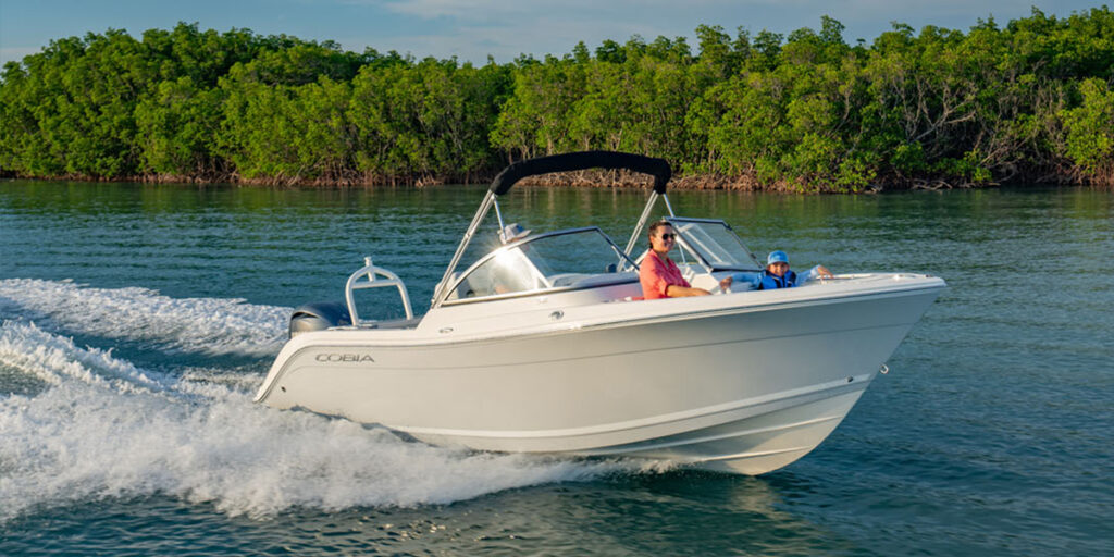 Cobia 220 DC Running