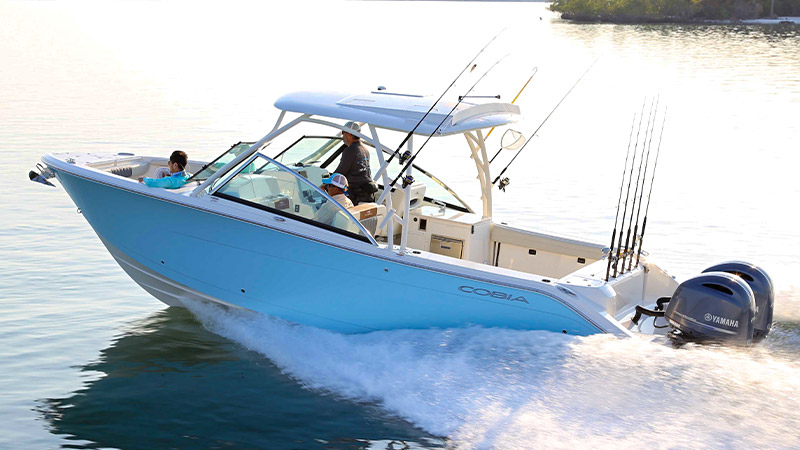 Rod holders on the hardtop, gunwales, and transom give anglers flexible, well-placed options for rigging, trolling, and landing fish.