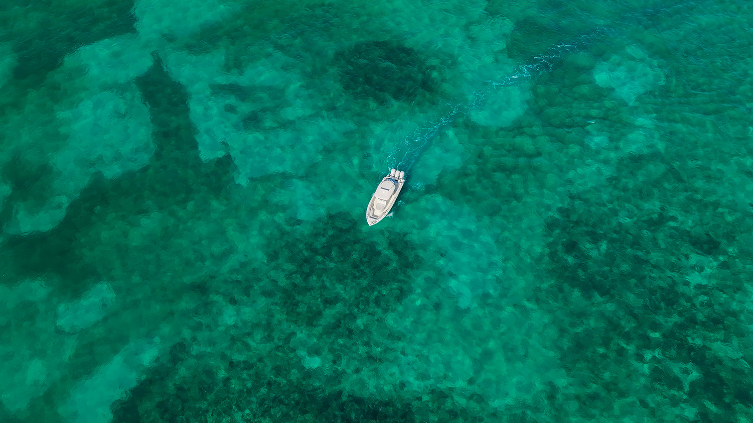 Cobia 350 CC from above.