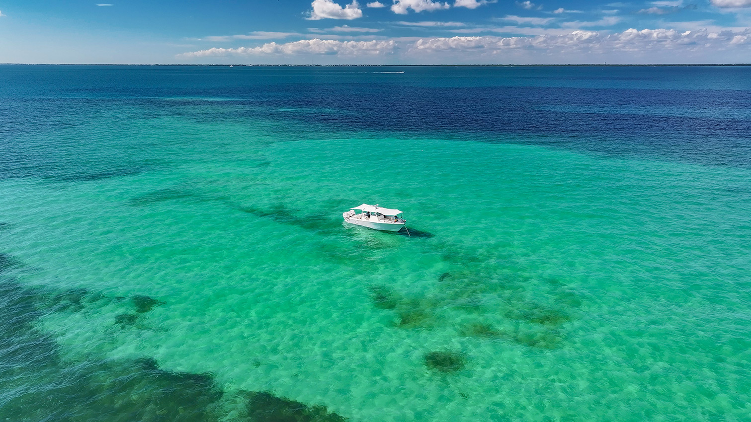 Cobia 350 CC with sunshades up from above.