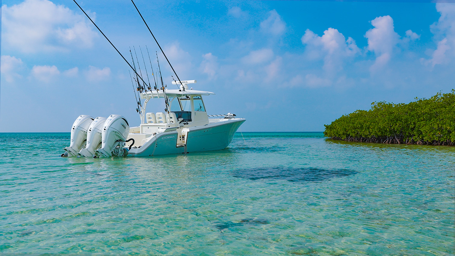 Cobia 350 CC anchored in shallow water.