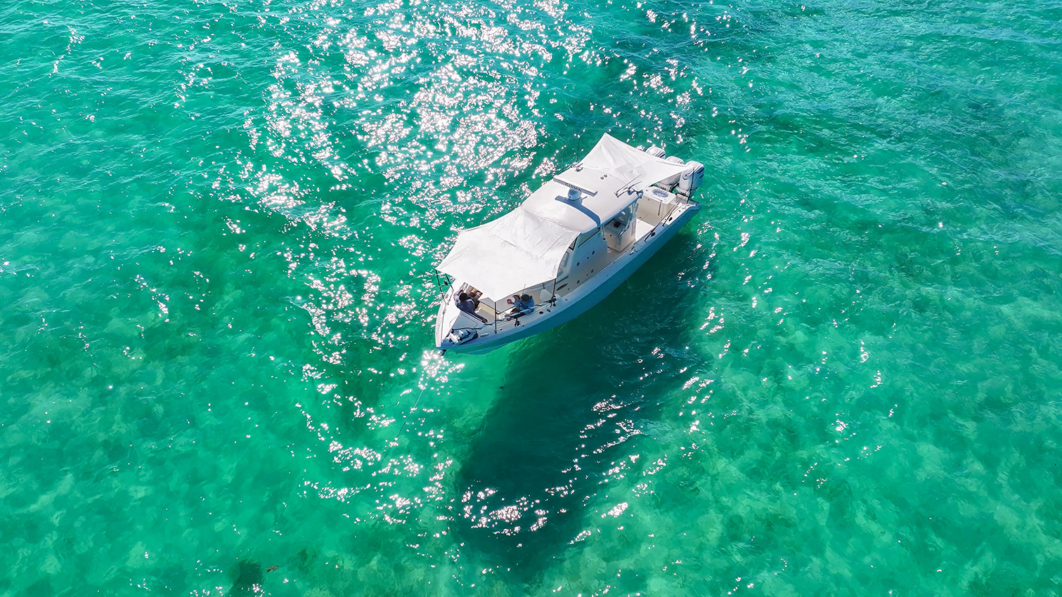 Cobia 350 CC with sunshades up from above.