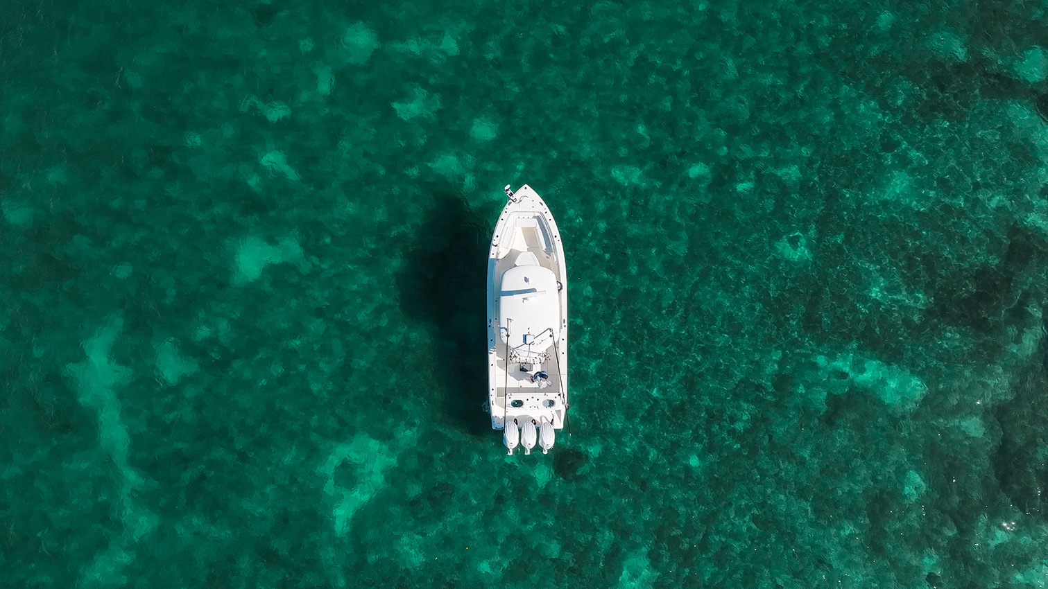 Cobia 350 CC from above.